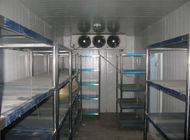 Прямоугольная прогулка SS304 в комнате замораживателя панели Coldroom 200mm промышленной
