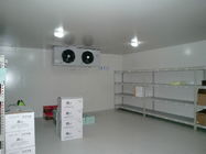 Прямоугольная прогулка SS304 в комнате замораживателя панели Coldroom 200mm промышленной