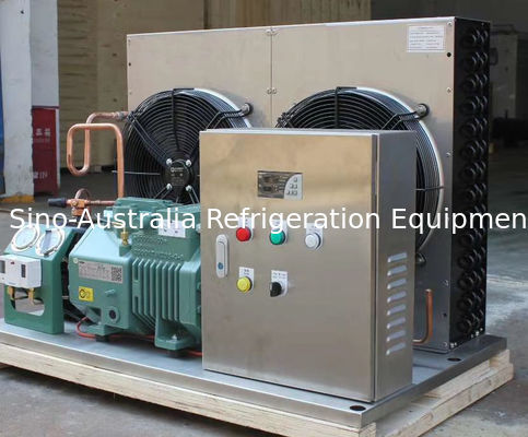 Germany  brand 4NES-20Y(20HP) R404a Air-Cooled Refrigertion Condensing Unit for Cold Room Refrigeration system