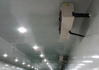 Подгонянная комната плотности охлаждая складского помещения 42KG/M3 панели 100mm холодная для хранения мяса