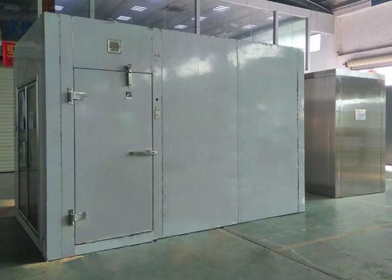 Подгонянная крутая комната замораживателя 1.0mm комнаты стальная холодная на хранение 2*3*2.6M мяса