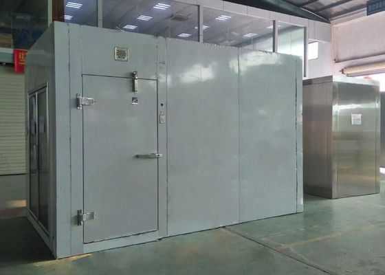 Прямоугольные холод 380V 220V и прогулка комнаты 2,8 * 3,0 * 2.6M замораживателя в комнате замораживателя