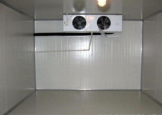 Прямоугольные холод 380V 220V и прогулка комнаты 2,8 * 3,0 * 2.6M замораживателя в комнате замораживателя