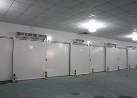 Прогулка нержавеющей стали 304 в комнате белых Colorbond рыб Coldroom холодной