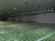 Bespoke комната холодильных установок овоща панели холодных комнат 100mm